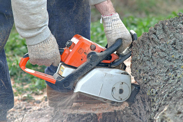 Lawn Watering Services in West Hamburg, PA
